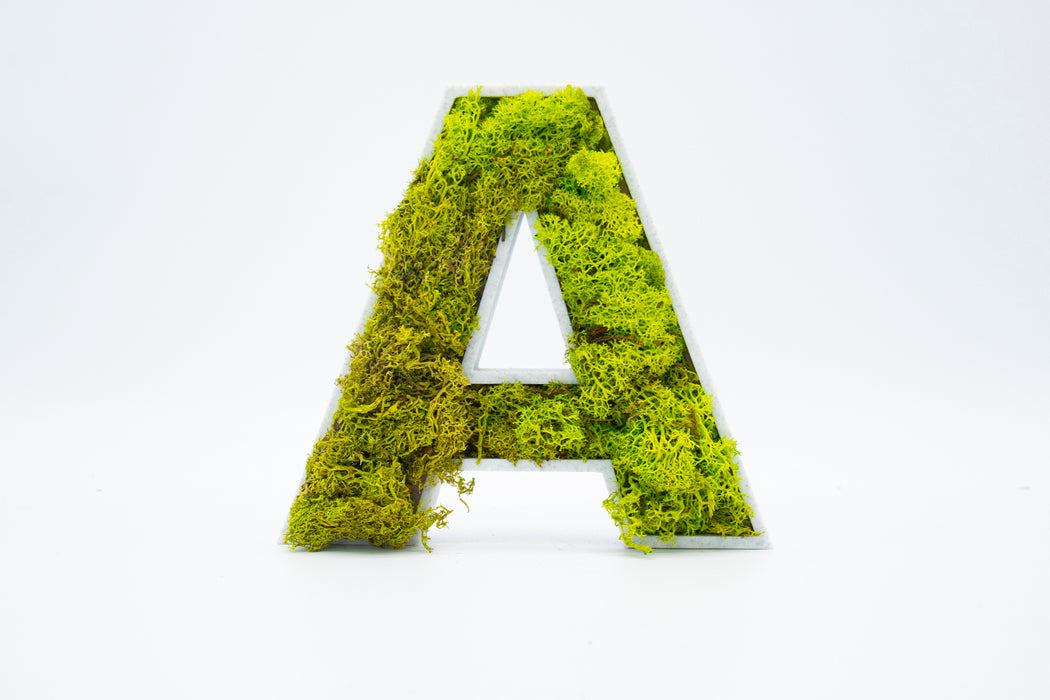 Letra 3D Musgo Verde