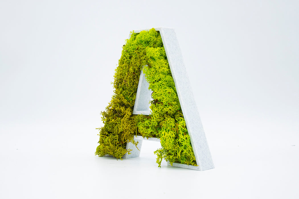 Letra 3D Musgo Verde