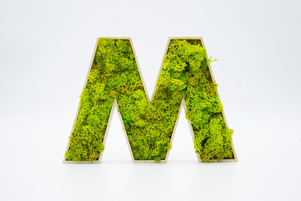 Letra 3D Musgo Verde