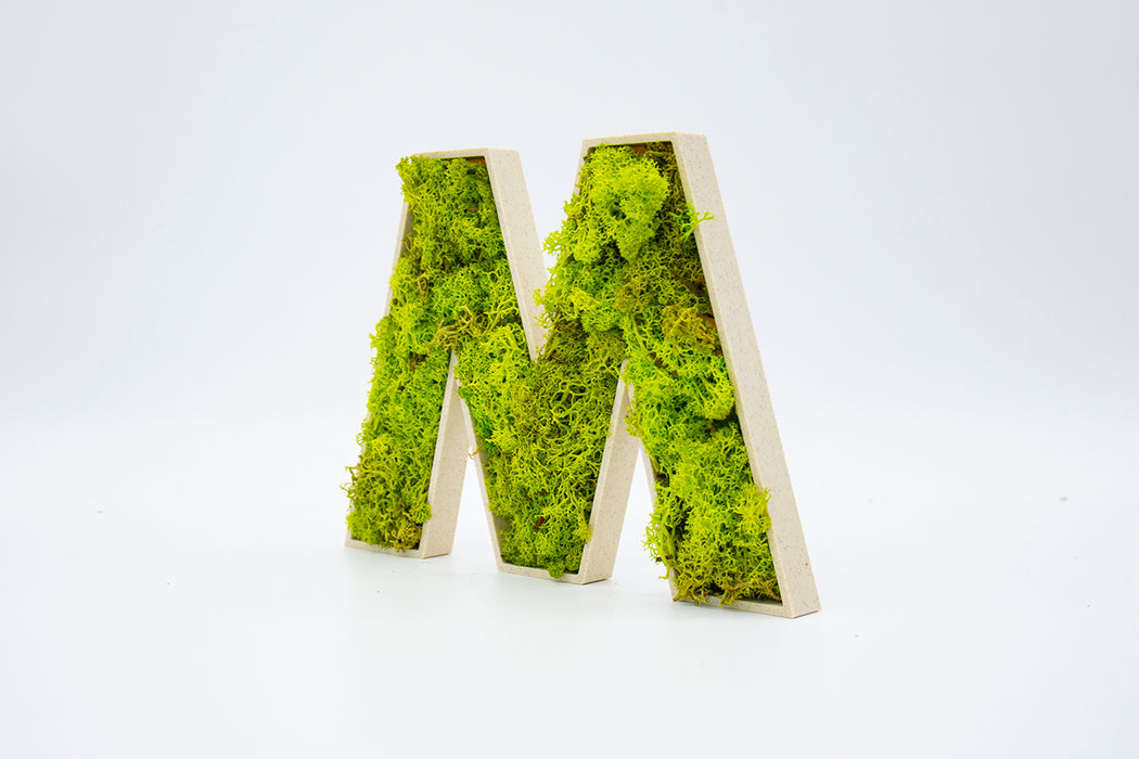 Letra 3D Musgo Verde