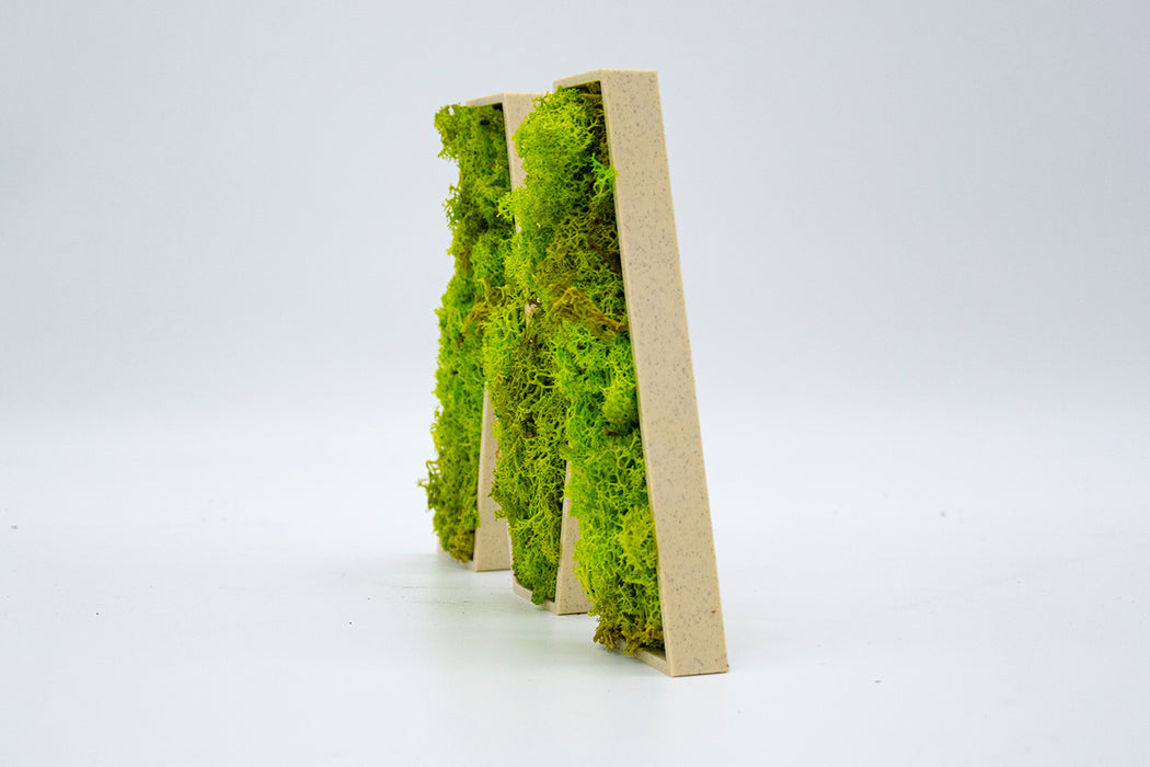 Letra 3D Musgo Verde