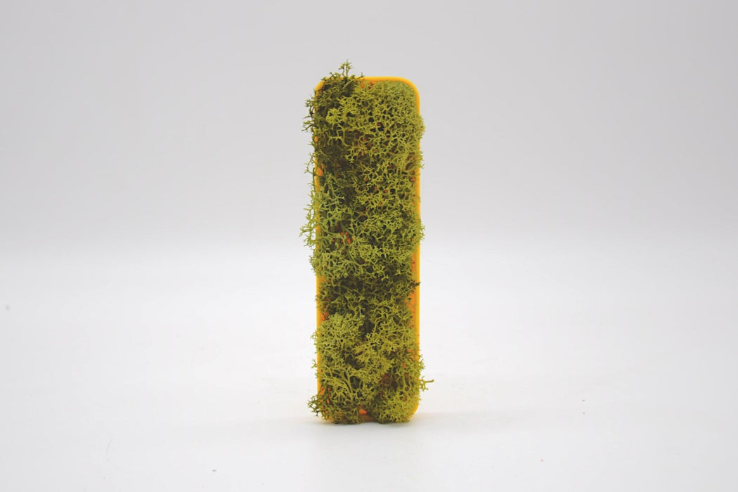 Letra 3D Musgo Verde Seco