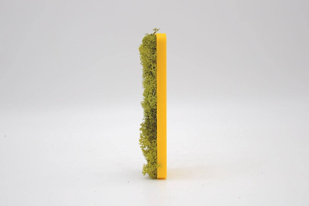 Letra 3D Musgo Verde Seco