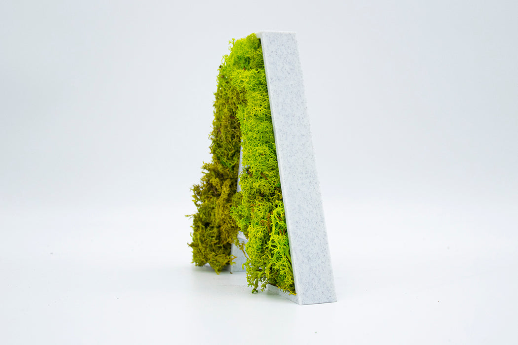 Letra 3D Musgo Verde